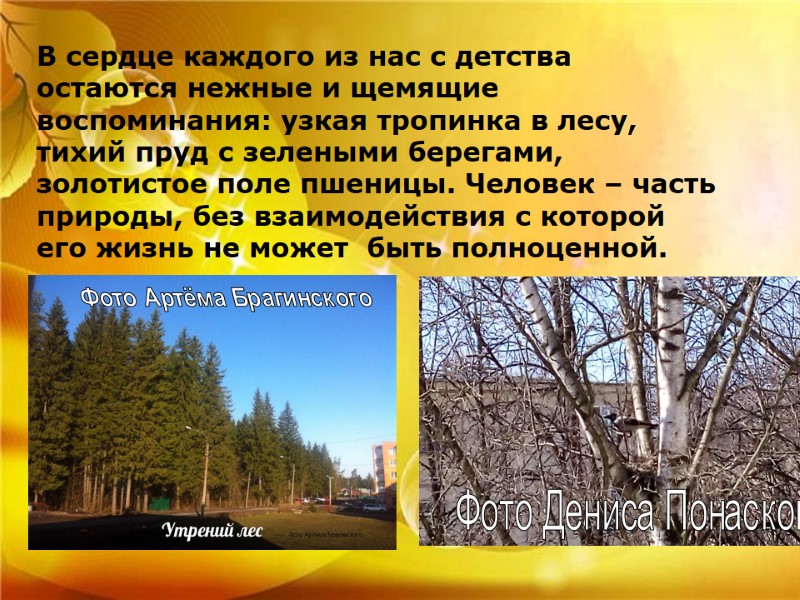 В сердце каждого из нас с детства остаются нежные и щемящие воспоминания: узкая тропинка В сердце каждого из нас с детства остаются нежные и щемящие воспоминания: узкая тропинка